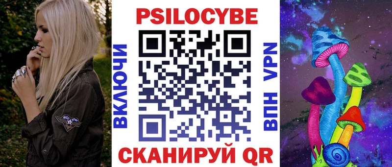 закладка  Александров  Псилоцибиновые грибы Magic Shrooms 